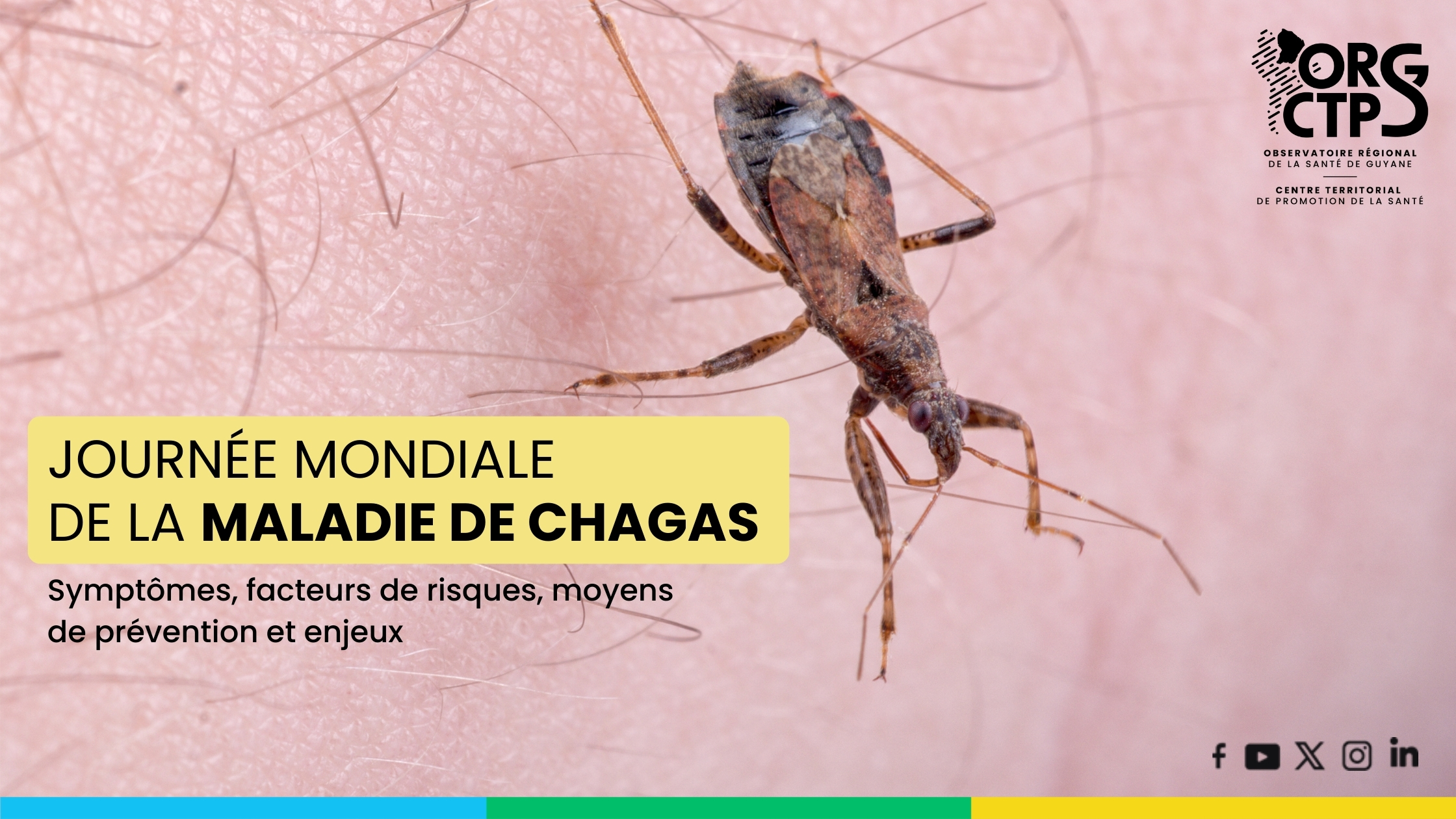 Visuel_JM_Chagas_Site Visuel_JM_Chagas_Site
