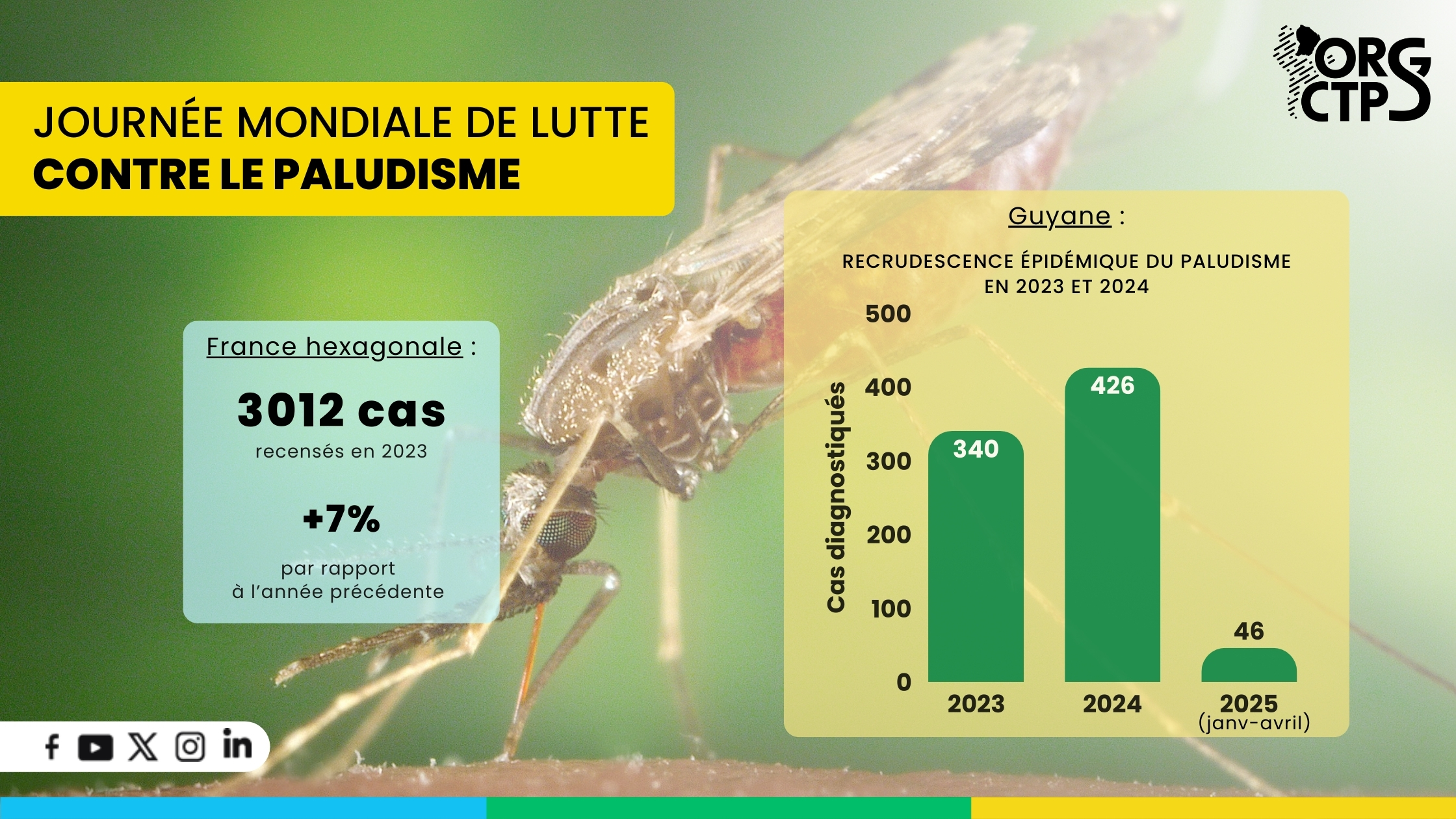 Visuel_JM_Paludisme_Site Visuel_JM_Paludisme_Site